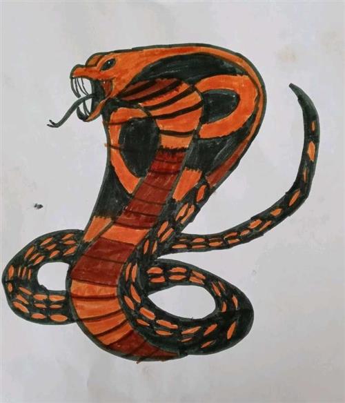 Cobra by Mathew 